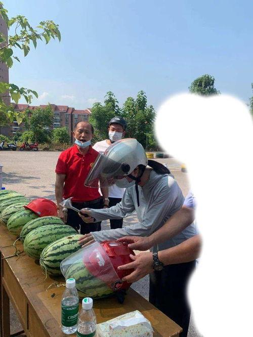 吃瓜日本事件,一场网络狂欢背后的真相