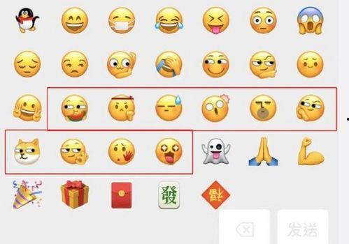 嫩狗头瓜怎么吃,探索美味与营养的完美结合