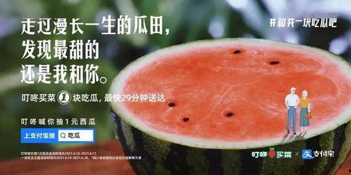 摘花吃瓜的文案,品味生活小确幸