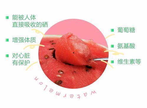 吃瓜机智的表现
