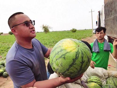 吃瓜游戈,揭秘娱乐圈背后的那些事儿
