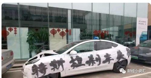 特斯拉女车主吃瓜,揭秘事件背后真相与争议