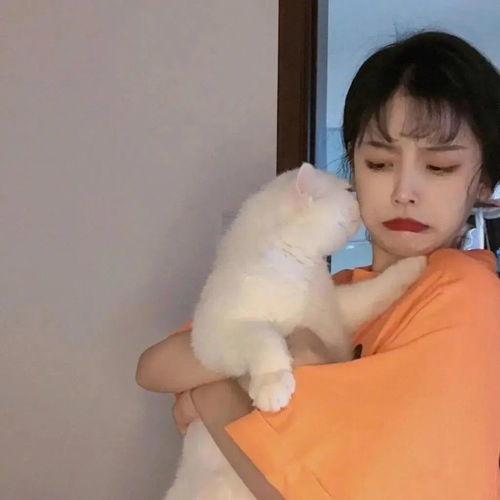 吃瓜胖女孩情侣头像,吃瓜胖女孩情侣头像，展现独特爱情风采