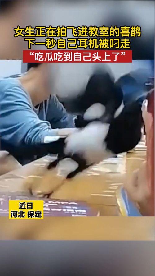 女生披被子吃瓜