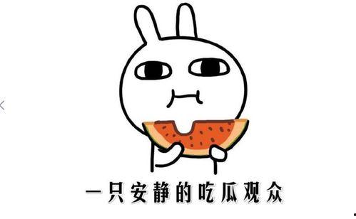 吃瓜群众的瓜是瓜子?