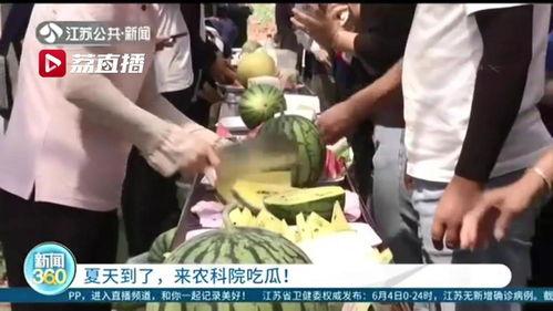 吃瓜宗门100