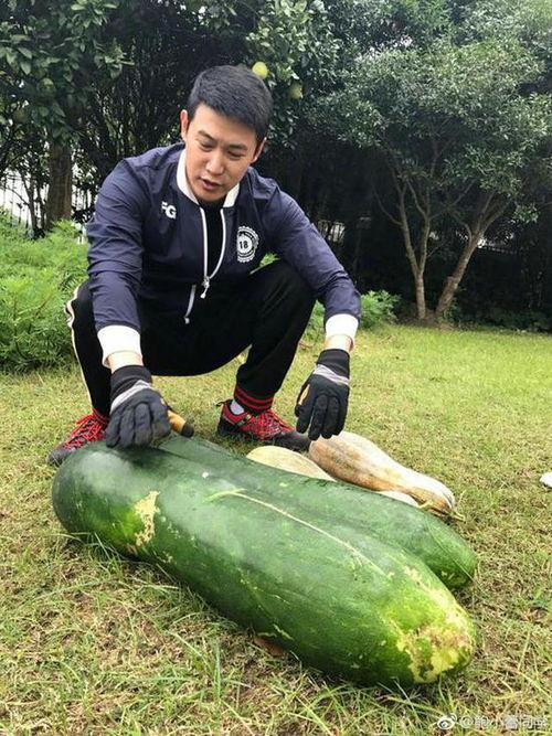 搞笑吃瓜文