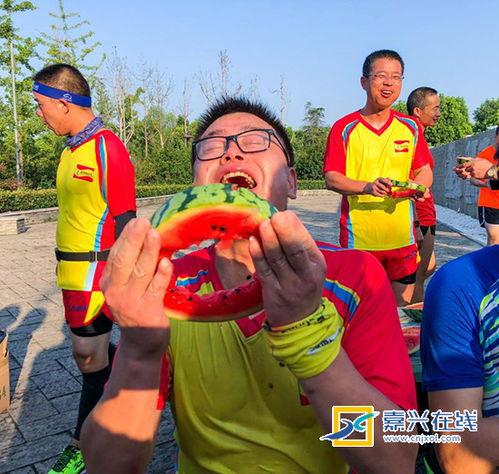 pvz吃瓜大赛视频