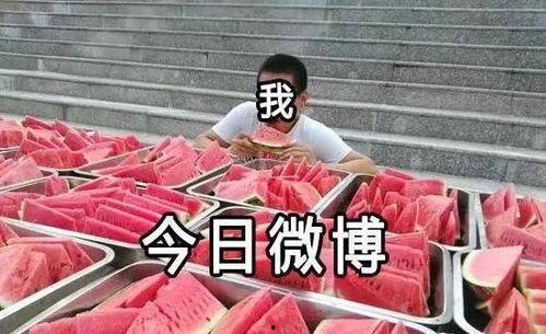 pvz吃瓜大赛视频