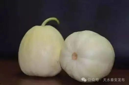 在线吃脆白瓜,在线品尝清新美味