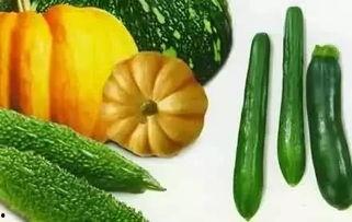 蕉瓜怎么吃,探索家常美味新选择