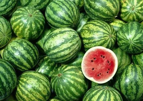 世界永远不缺吃瓜,世界长盛不衰的“吃瓜”文化现象解析