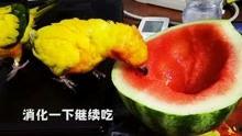 娱乐吃瓜免费吃瓜入口,吃瓜入口等你来开启！