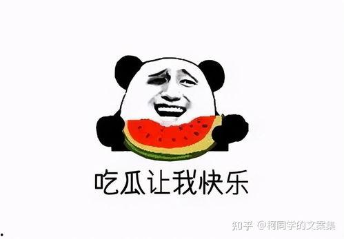 给我免费看吃瓜,揭秘娱乐圈幕后故事