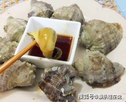海螺吃瓜群