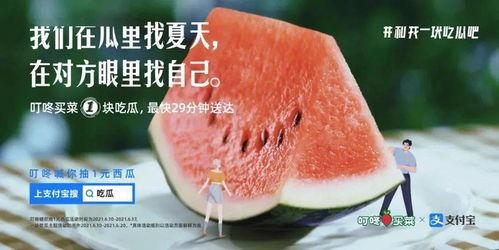 自己找瓜吃,揭秘“自己找瓜吃”的奇特现象