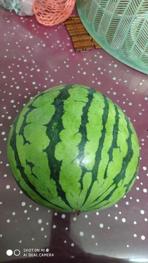 吃瓜西瓜拉肚