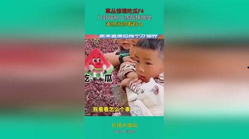 吃瓜的歌曲,跟随吃瓜歌曲探寻娱乐圈风云变幻