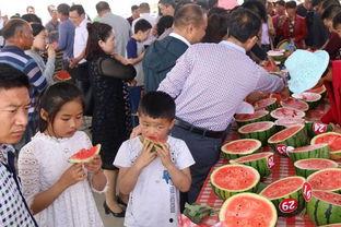 内黄吃瓜群众集合,揭秘乡村生活百态