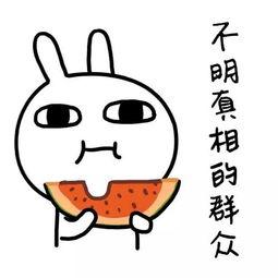 吃瓜文案经典语录,经典吃瓜语录大盘点