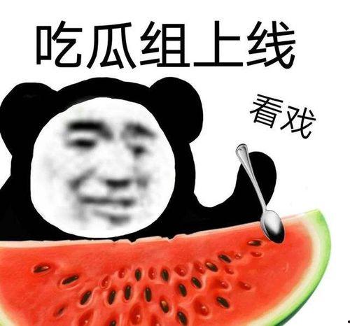 吃瓜流浪,揭秘娱乐圈的幕后故事