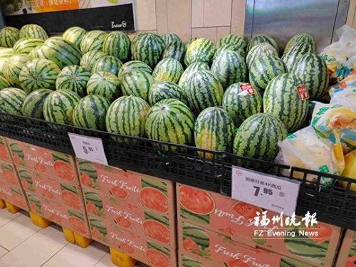 吃瓜群众多肉,绿植养植指南与趣事分享