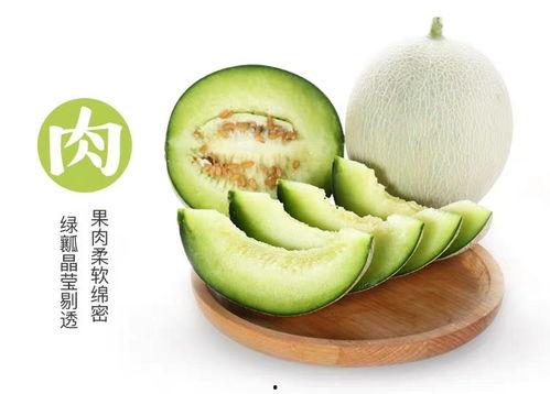 小瓜太老怎么吃,探索小瓜太老后的美味吃法