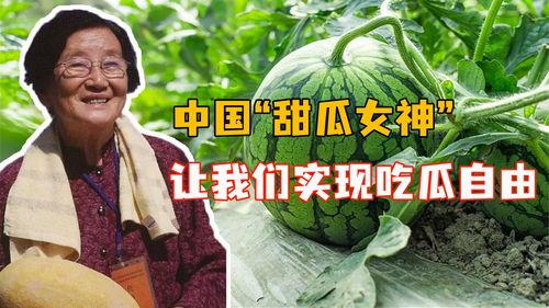 全国吃瓜自由,揭秘瓜界风云录