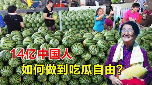全国吃瓜自由,揭秘瓜界风云录