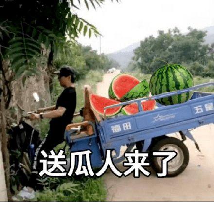 吃瓜摸鱼人,揭秘现代人的休闲生活态度