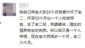 婚庆吃瓜吐槽,一场吃瓜吐槽的欢乐盛宴