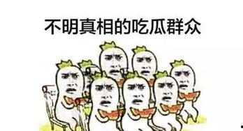 求吃瓜路人看法图片,揭秘娱乐圈幕后真相